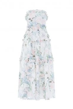 Needle & Thread Holding LTD Posy Blossom Corset Ankle Gown All - Womenswear