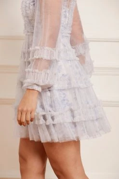 Needle & Thread Holding LTD Rambling Roses Micro Mini Dress