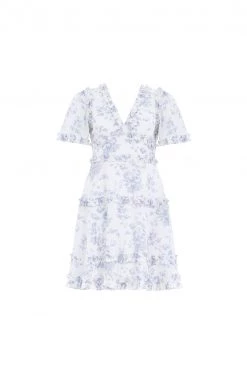 Needle & Thread Holding LTD New Arrivals Rambling Roses Cotton Micro Mini Dress